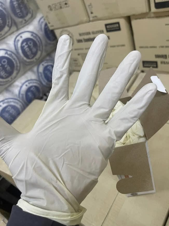 Kouger Latex Examination Gloves – Powder Free (100 Gloves/Box/10 BOX/CTN